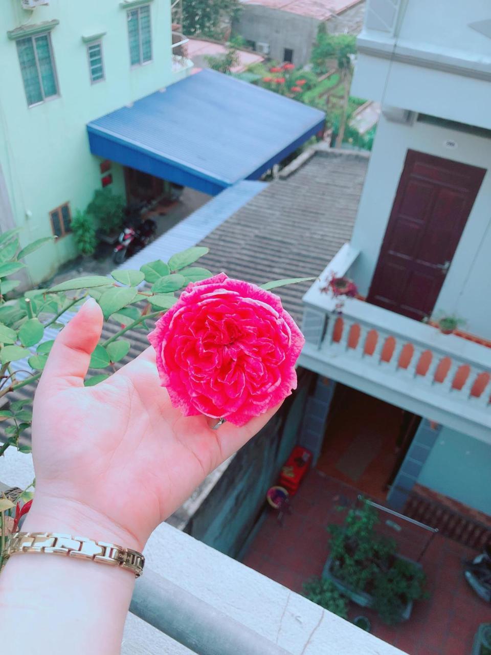 Pi'S Homestay Catba Dong Khe Sau Zewnętrze zdjęcie